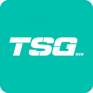 The Steel Fixing Group logo